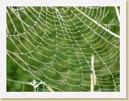 2005-10-30 11-12-25 Octobre 112,7mm 1_60_eme F4,9 * 2592 x 1944 * (1.81MB)